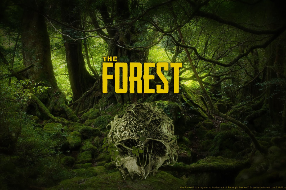 the forest free