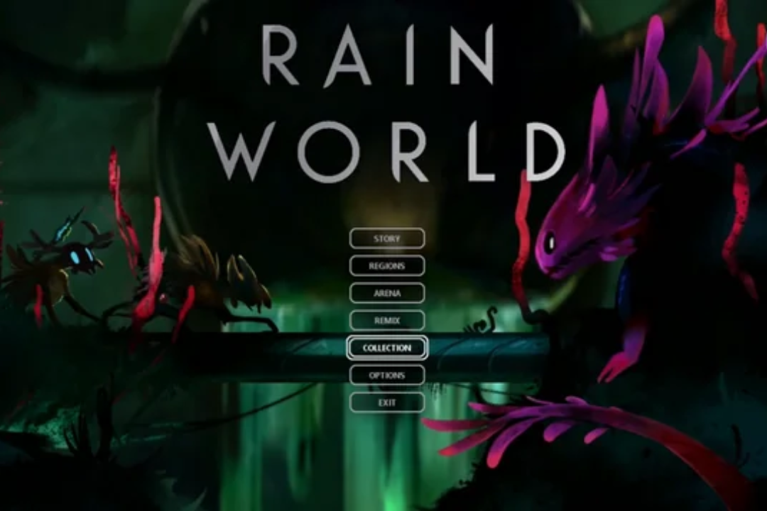 rain world game