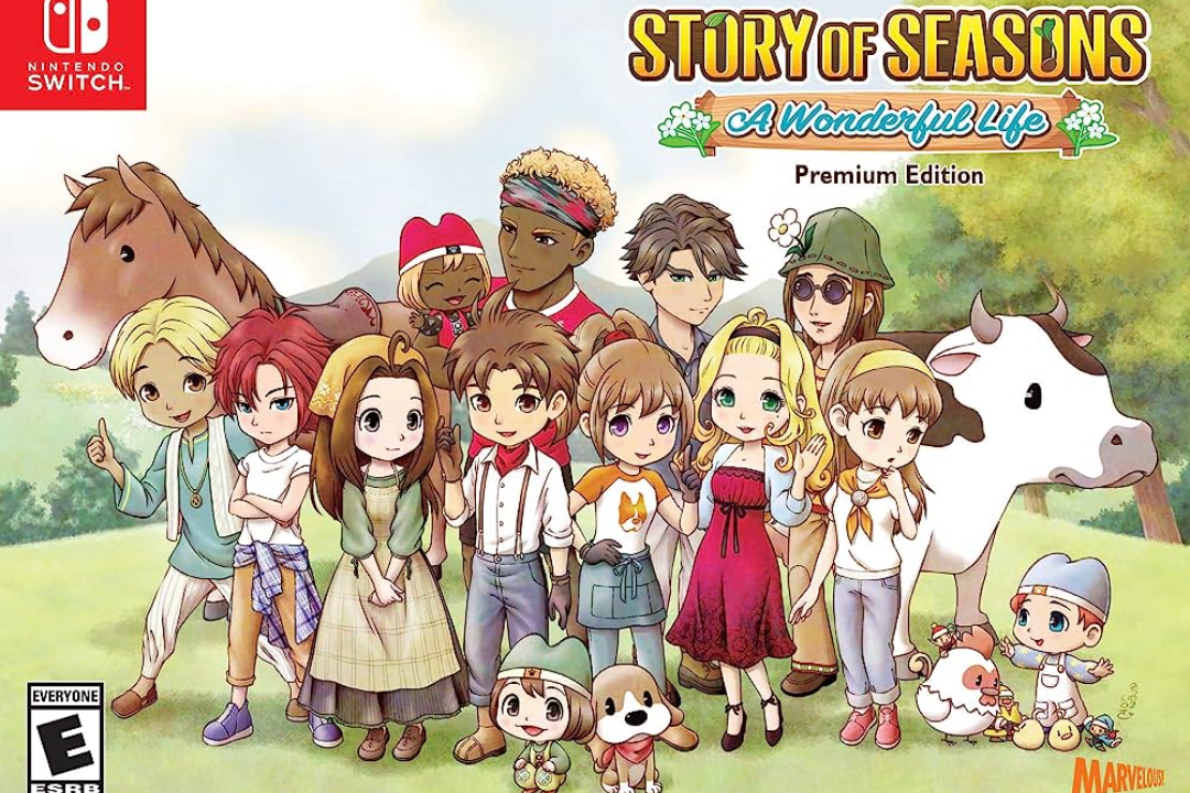 story of seasons a wonderful life download