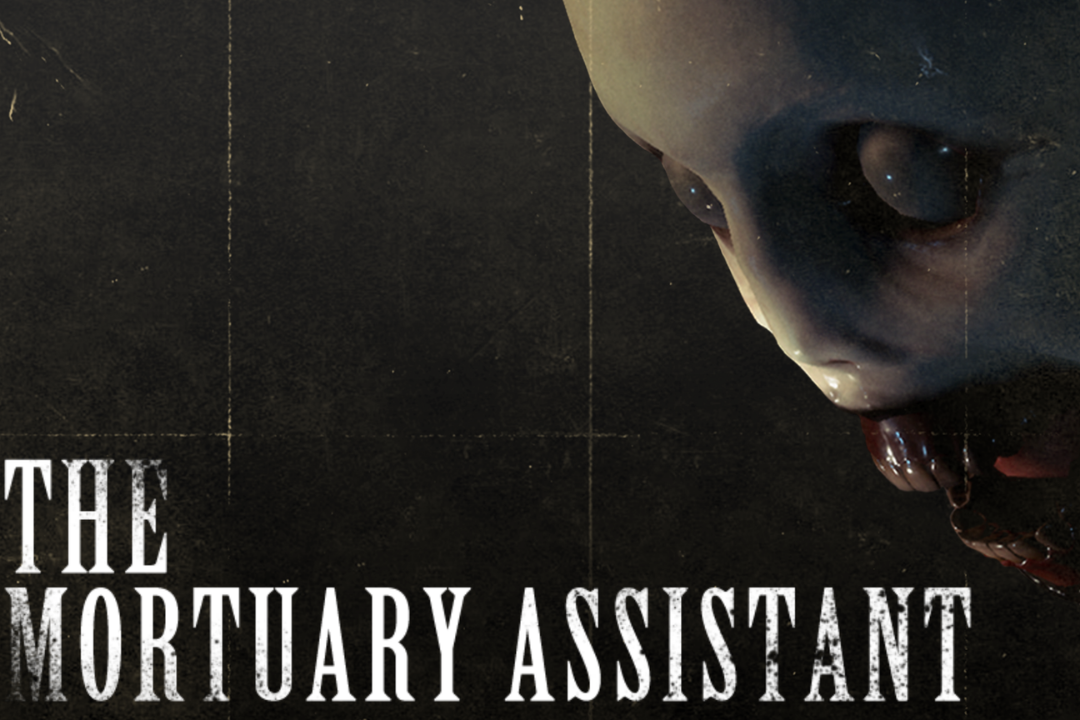 the mortuary assistant game